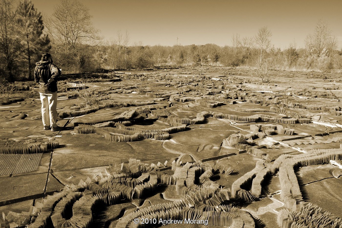 Urban Decay Update Mississippi Basin Model Further Decline