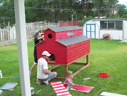 clan davis paint still