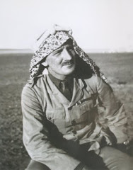 NEWCOMBE, ARABIA, 1917