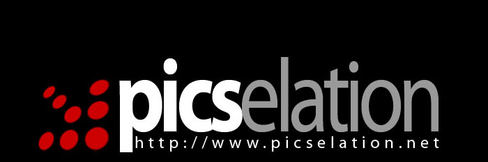 P i c s E l a t i o n