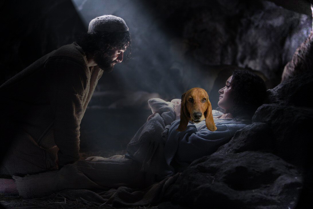 [the-nativity-story-08.jpg]