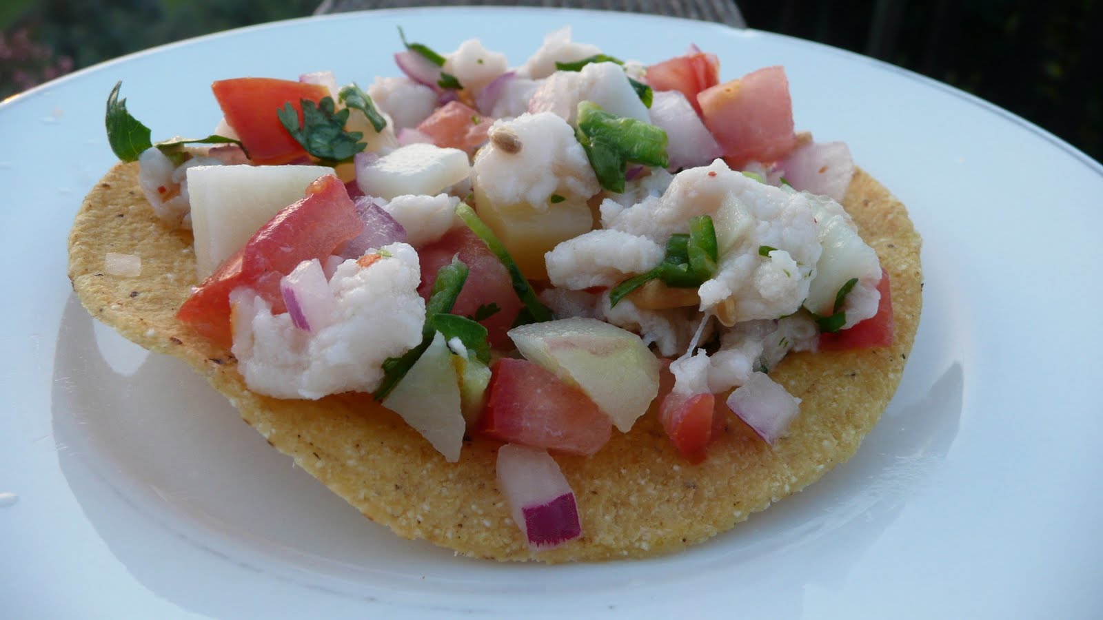 Viva Cindy: Ceviche de Pescado (Fish Ceviche)
