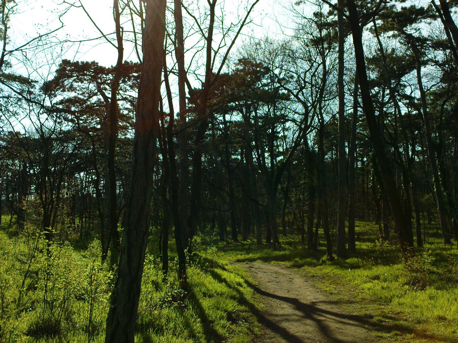 [DSC00627.JPG]