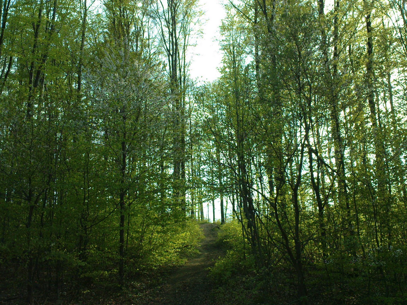 [DSC00725.JPG]