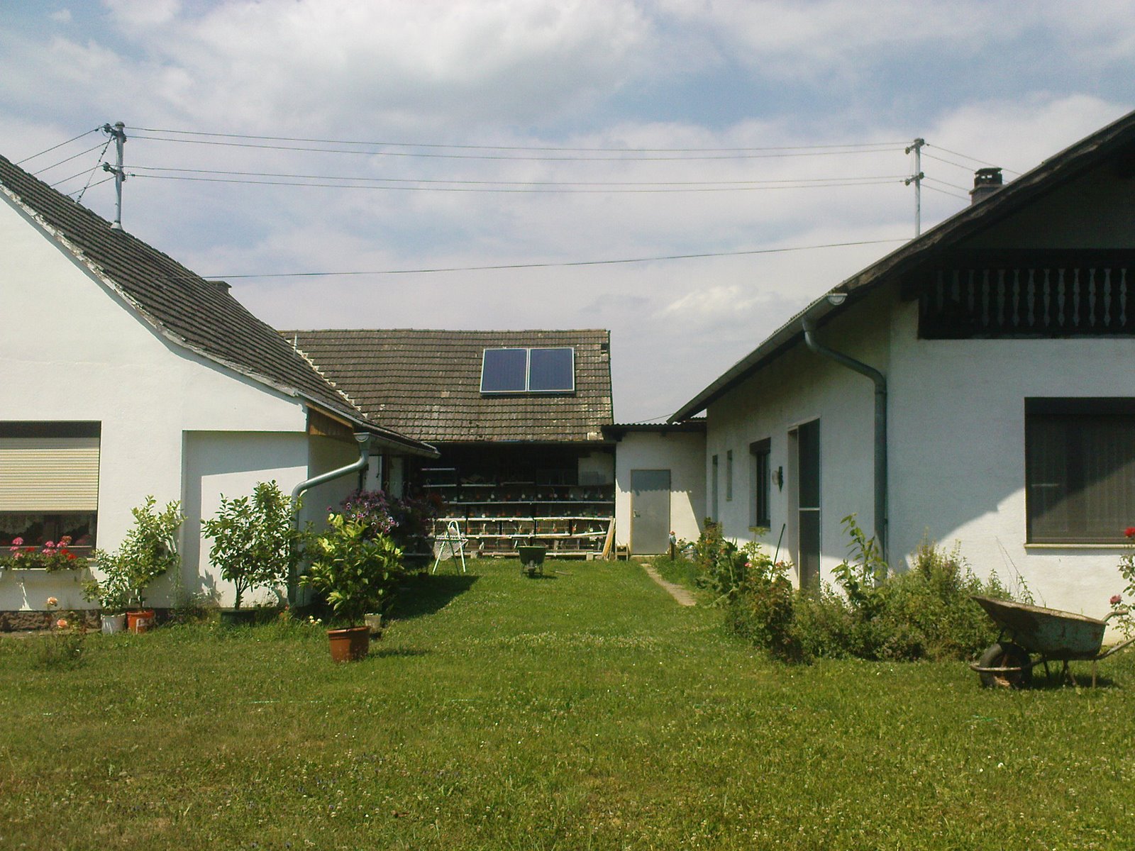 [DSC01010.JPG]