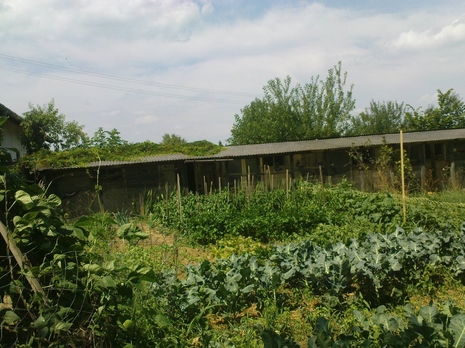[DSC01012.JPG]