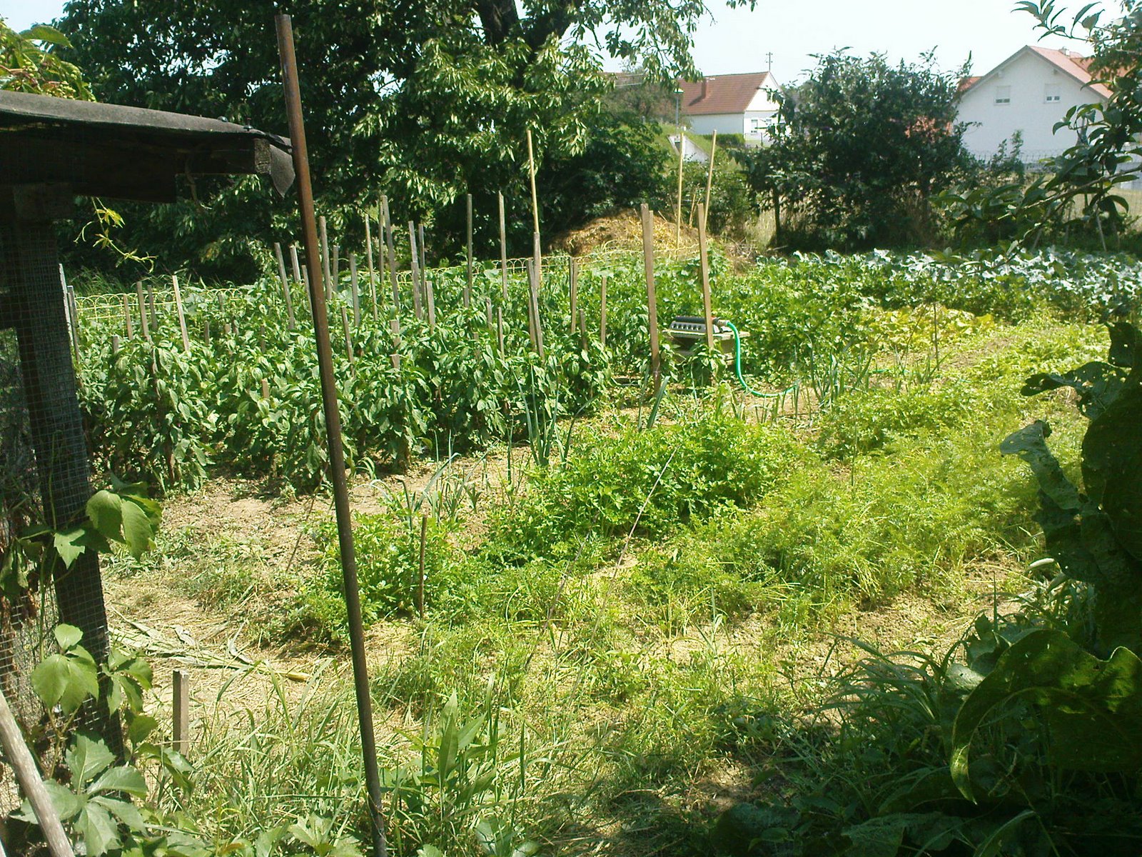 [DSC01018.JPG]