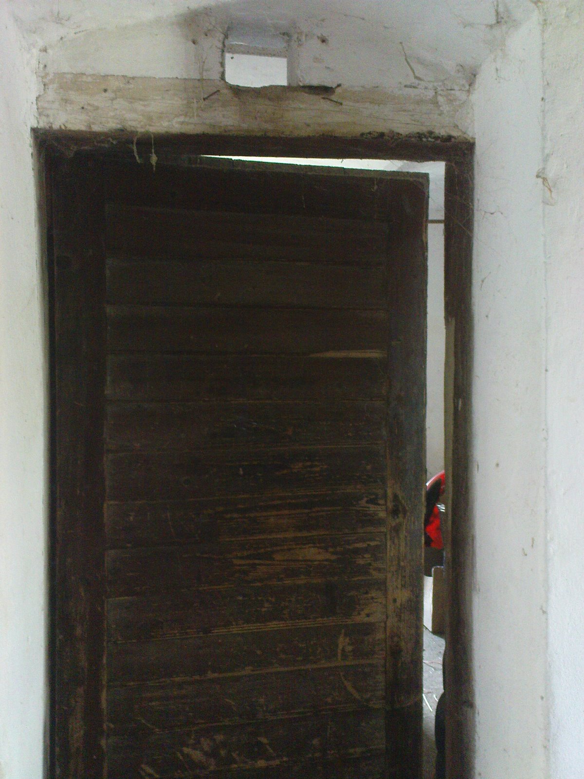 [DSC01031.JPG]