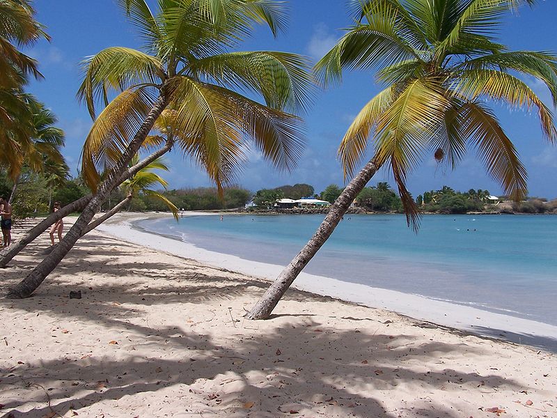 [800px-Martinique_Beach_(Salines).jpg]