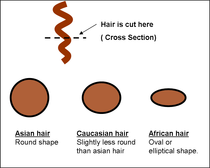 Ethnicity and Hair: It doesn't matter if your are Black or White (or Asian!)