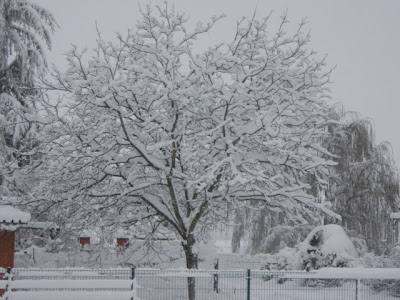 botega criativa: Neve, neve, neve... e mais neve!