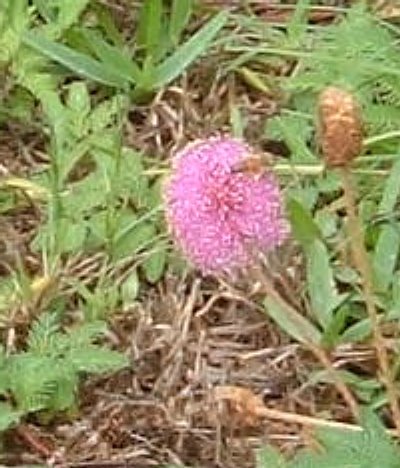 [2004_0507wgoitg050920012.JPG]