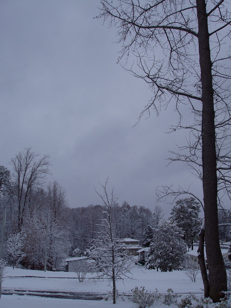 Sizzling Indian Recipes..... Snow Storm brings White Christmas in Cary