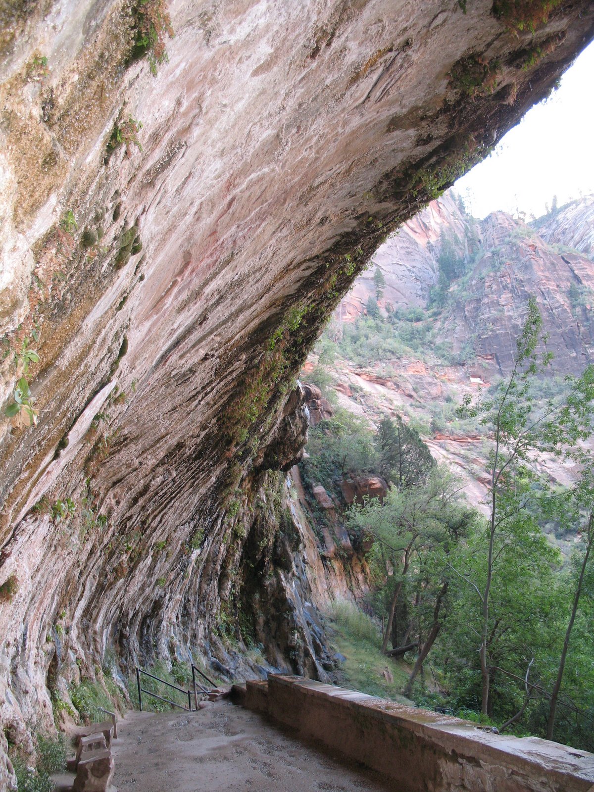[IMG_0452.JPG]