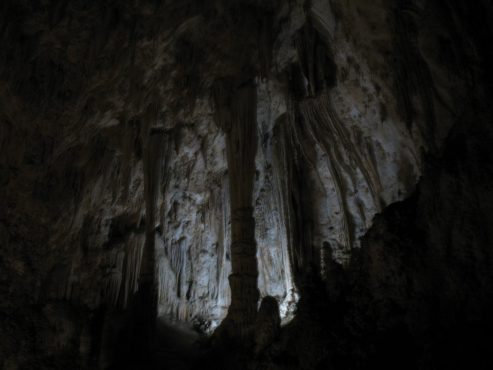 [IMG_0250.JPG]