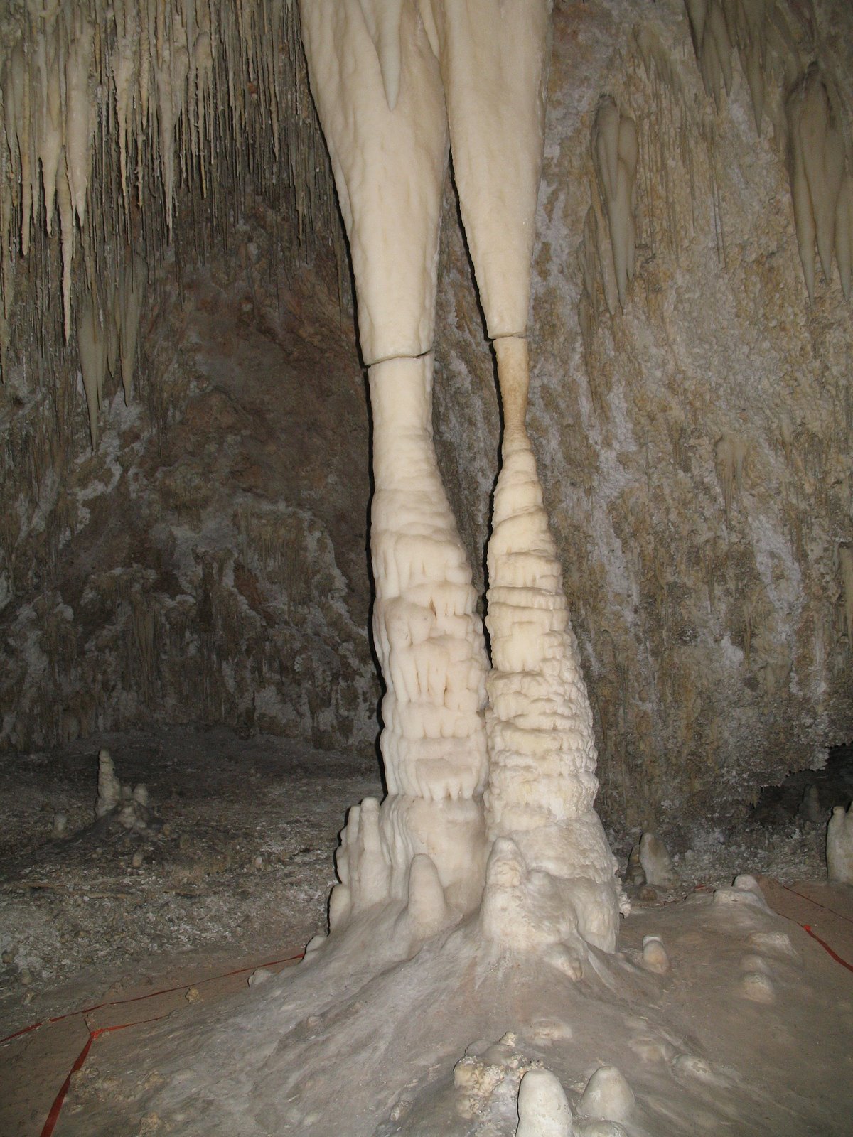 [IMG_0275.JPG]