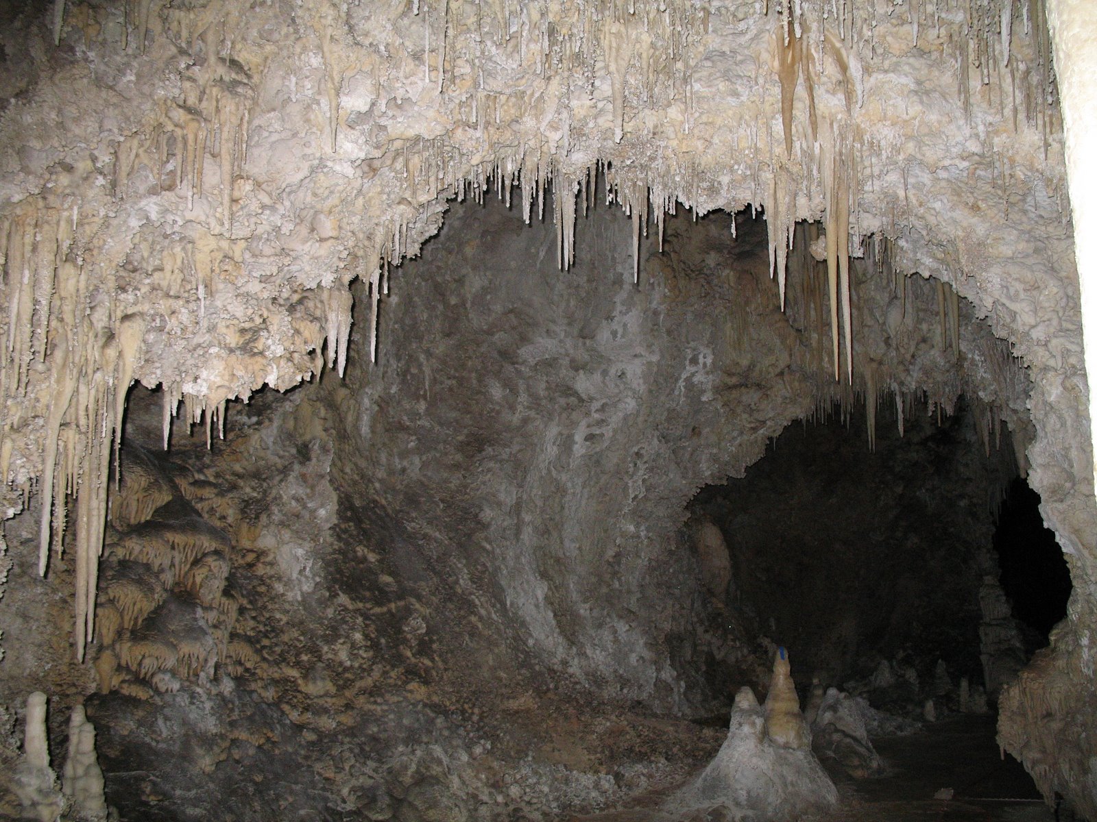 [IMG_0285.JPG]