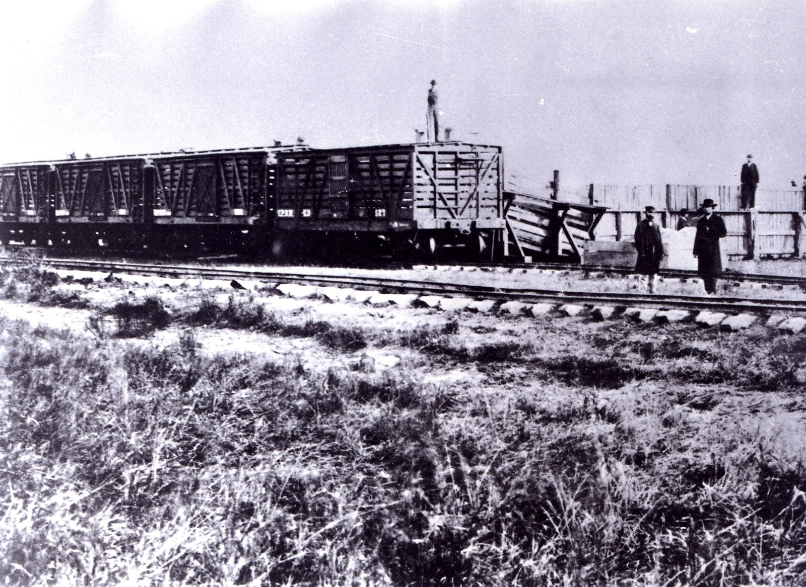 Views of the Past Joseph G. McCoy and the Chisholm Trail, 18671871