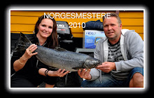Norgesmestere 2010