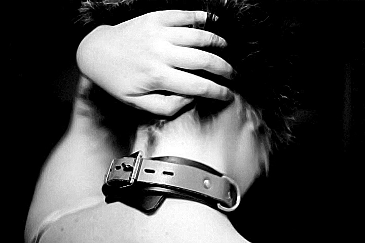 Collar+de+perro+02.jpg