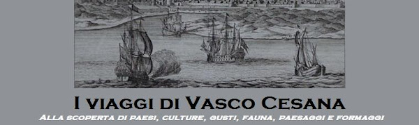I viaggi di Vasco Cesana