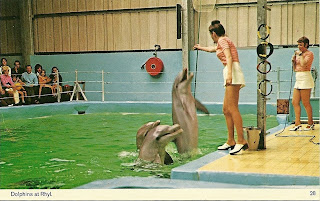 Rhyl Dolphinarium