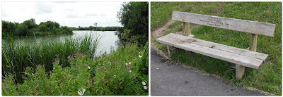 Rhyl, Brickfield Pond
