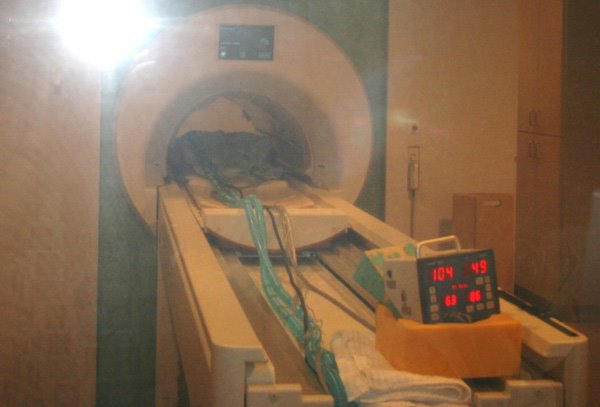 [SpiritMRI006.JPG]