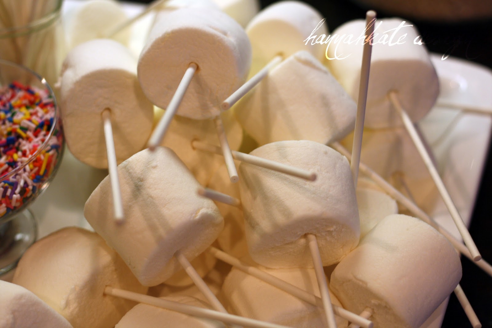 The Gaines Gang JUMBO Marshmallow Pops