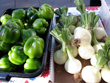 Friday Greenmarket