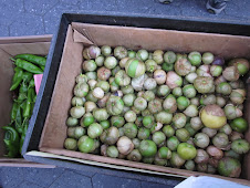 Friday Greenmarket