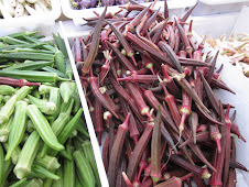 Friday Greenmarket