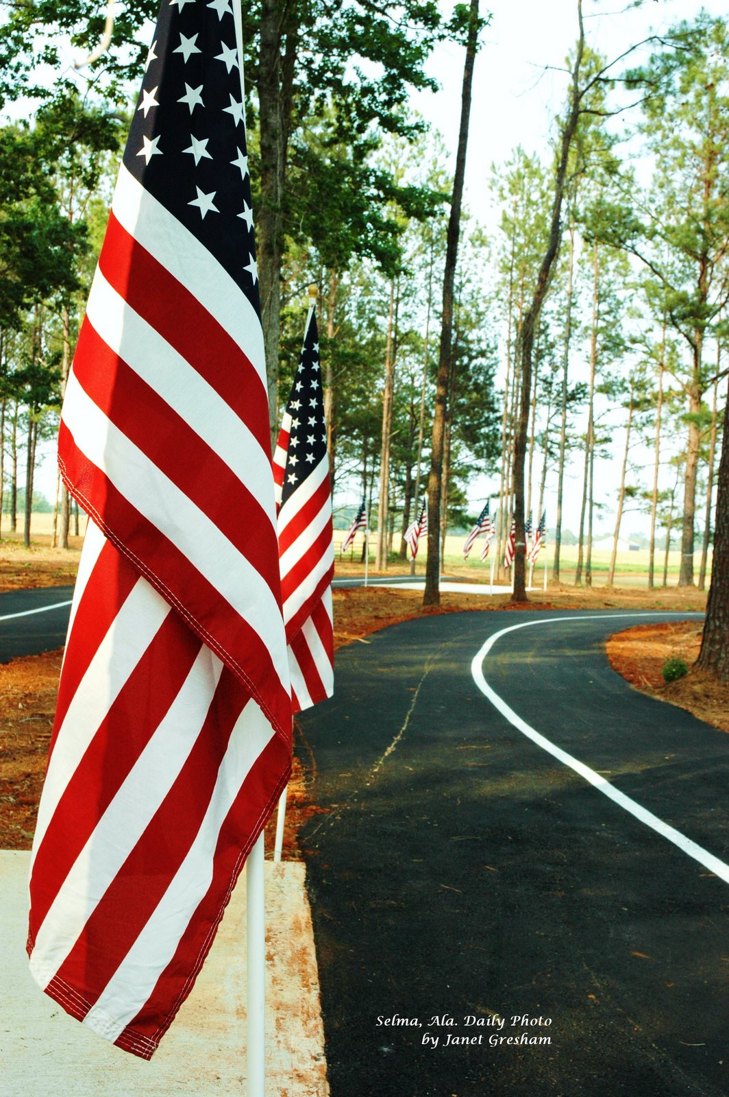 [Stars+and+Stripes.jpg]