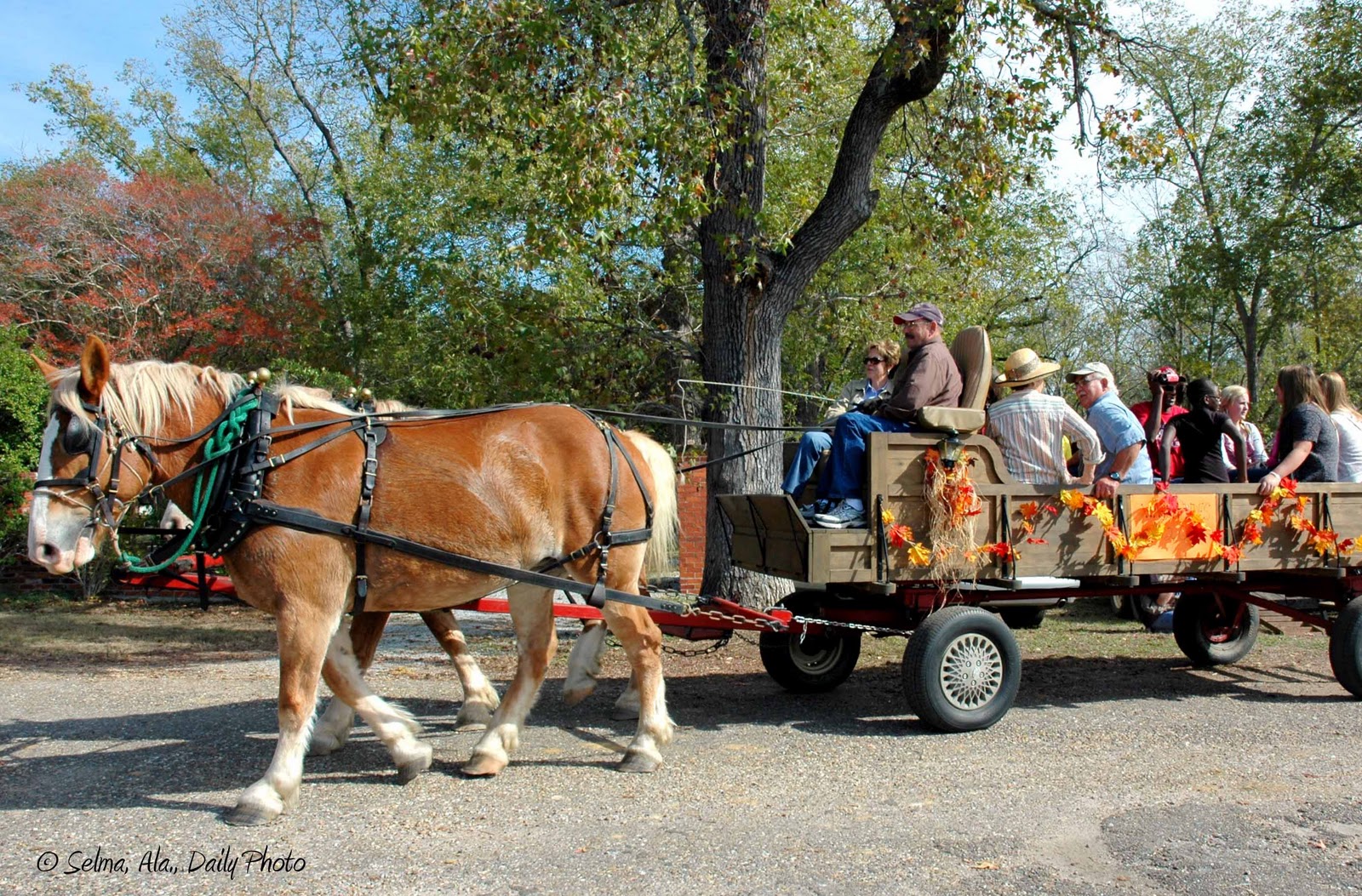 Selma, Ala. Daily Photo November 2010