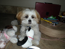 Tuff(dog)