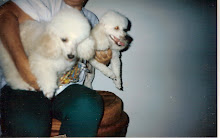 PUPY E BABY