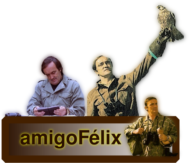 amigofelix