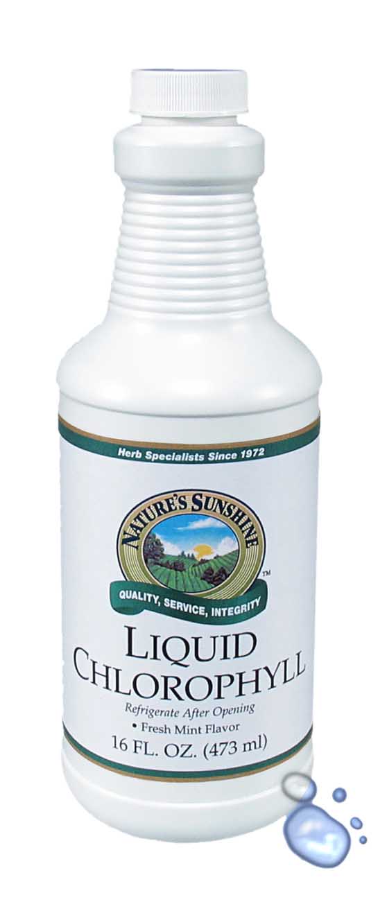 Organic Health Supplements SynerProtein & Liquid Chlorophyll
