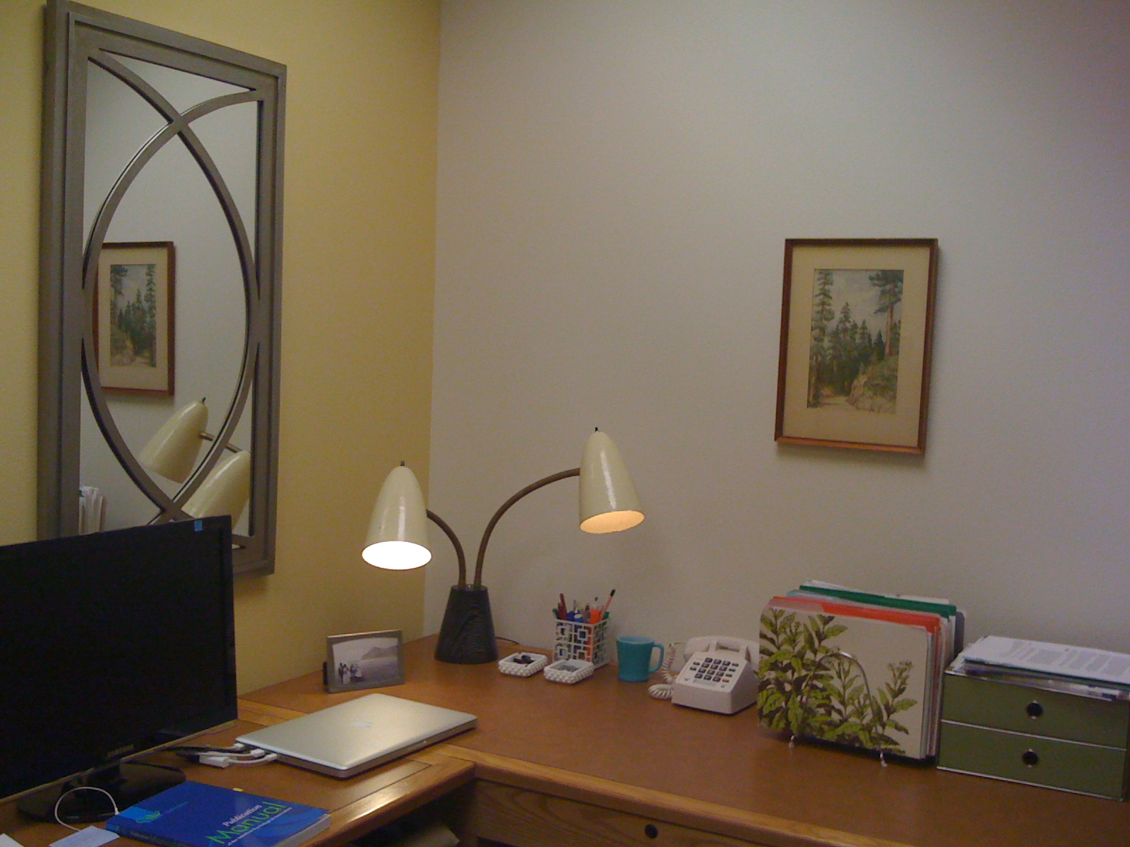 Eugene Modern Monkey Decorating New Office Space