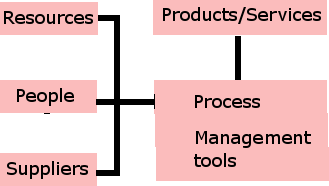 Virtual Organization: virtual organization structure