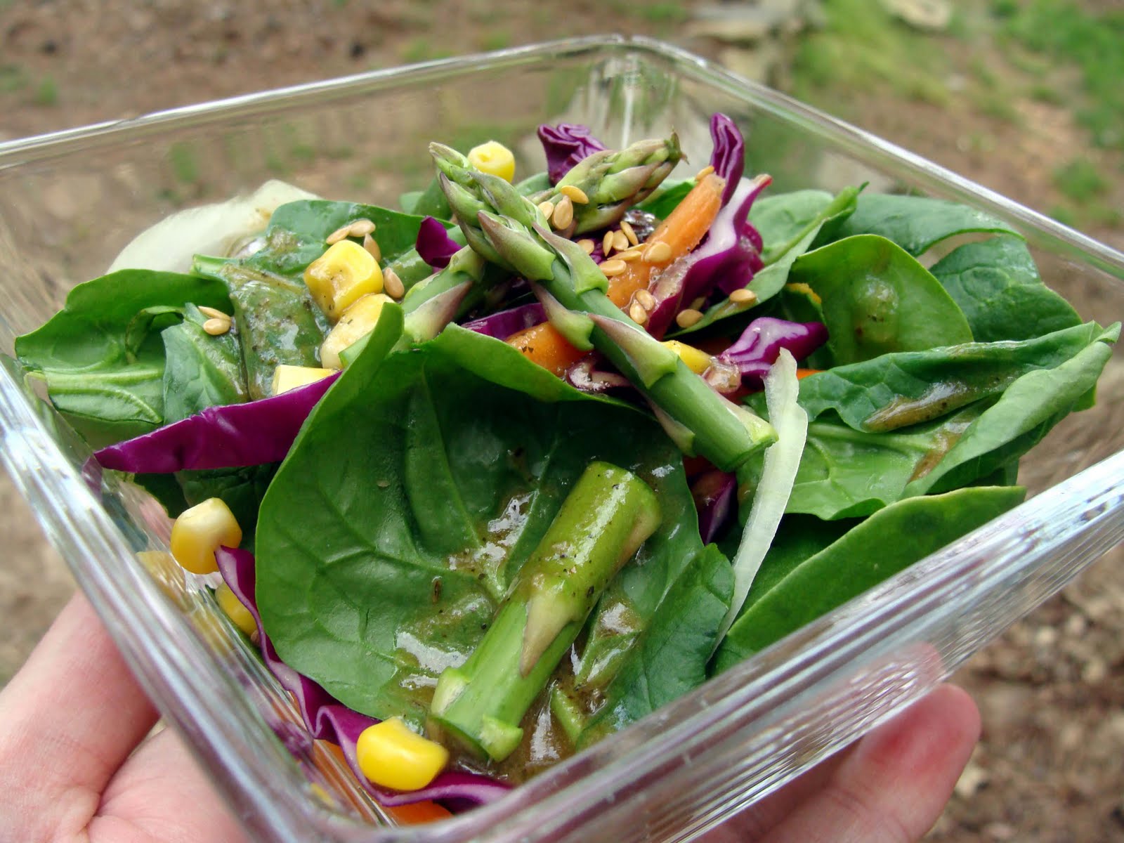 The Maine Vegan Basil balsamic dressing