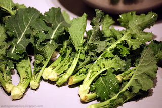 Choux fourrager ou choux à vache (brassica oleracea viridis