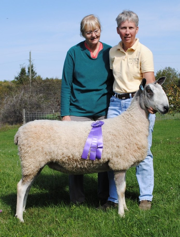 Beechtree Farm Wisconsin Sheep & Wool Festival