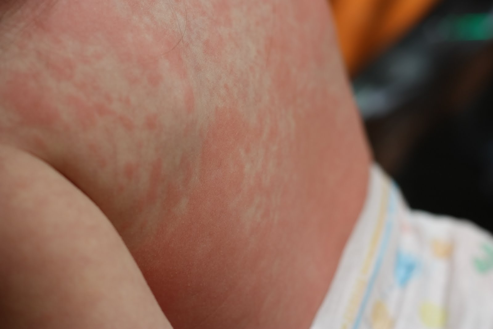 Leaning, Loving, and Learning my way through Life: Let me introduce you ...