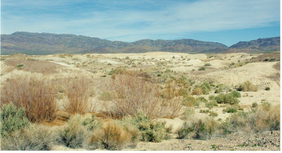 Cannundrums: Stump Spring to Resting Springs: Retracing an 1849 Journey