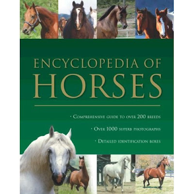 Jane Augenstein My World In Pictures More Horse Books