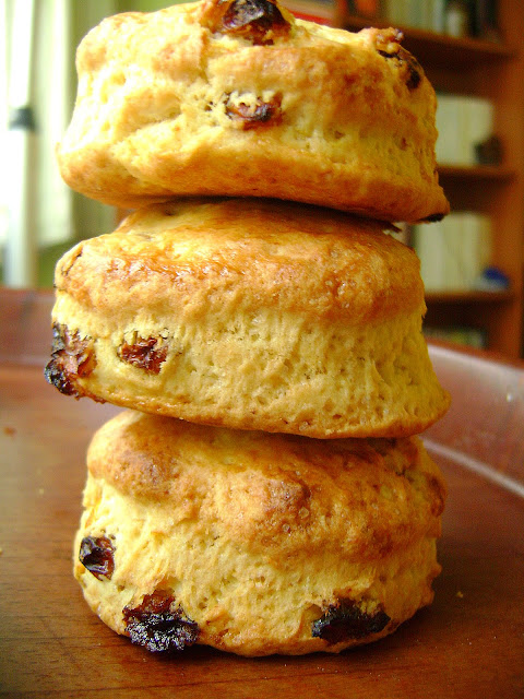 Portakallı Üzümlü Scone