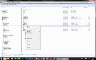 Cuidado ao brincar com registry.