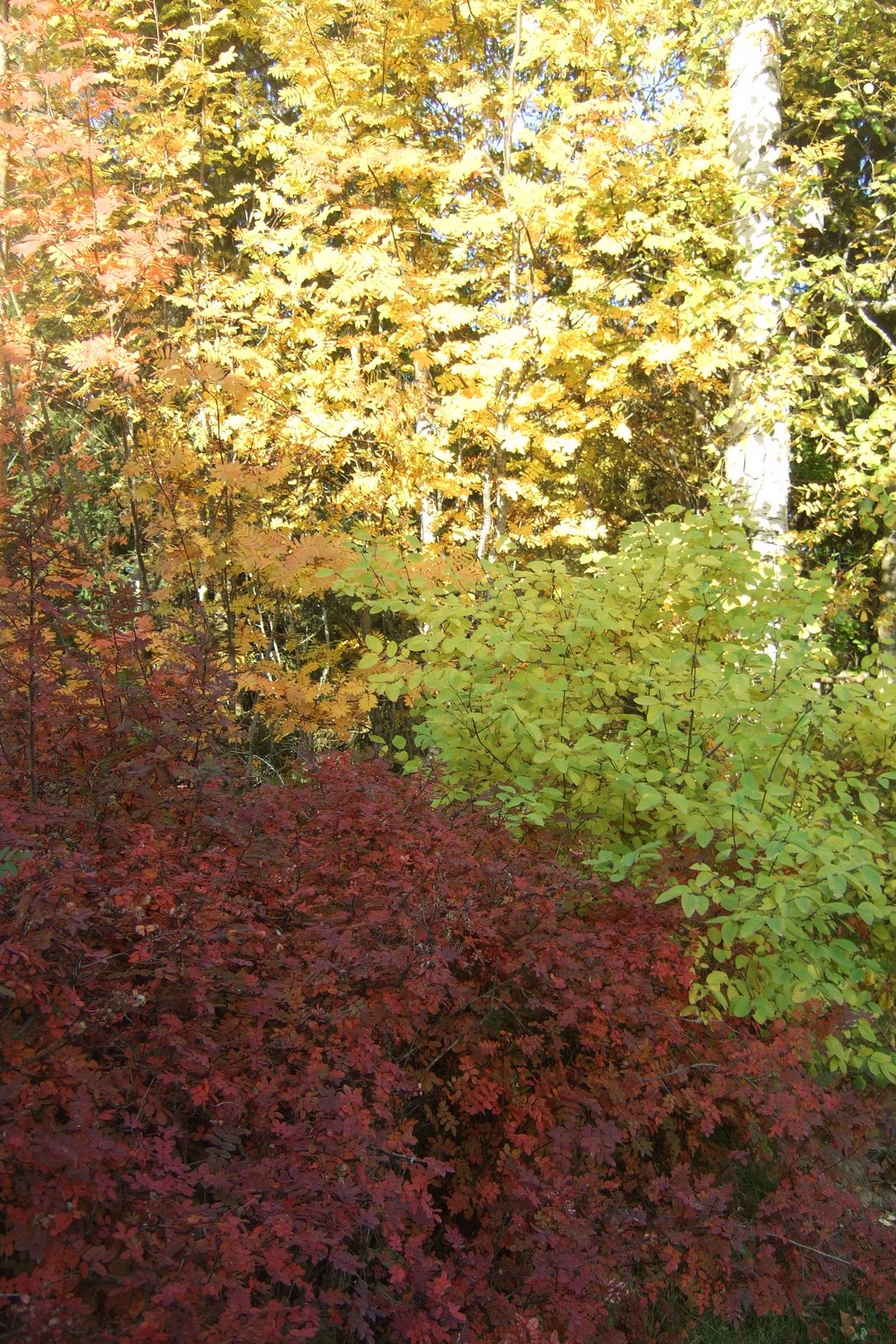 [DSCF4312.JPG]