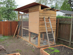 chicken coop lima ohio 2
